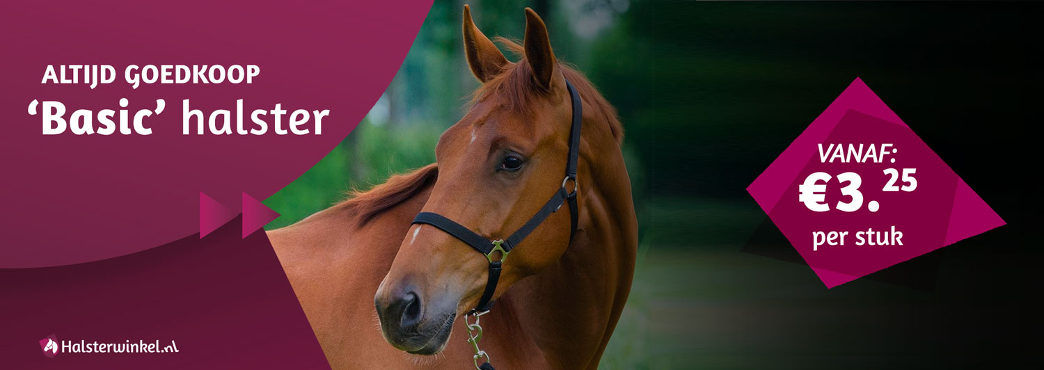 namens Struikelen Winst Goedkope halsters voor paard kopen - Halsterwinkel.nl