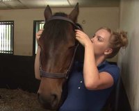 Hoe doe je een halster om bij je paard of pony? Hoe doe je een halster om bij je paard of pony?