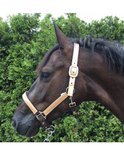 HB Halster Sparkle glitterhalster
