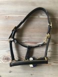 Partij luxe leren halsters maat pony - 5 stuks