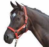 Partij 11 Halsters zacht onderlegd: 2x COB + 9x FULL