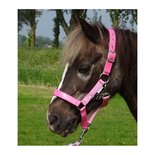 HB Halster Lak Shine Shetland