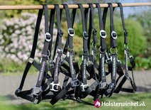 Halster met naam - Partij van 15 stuks