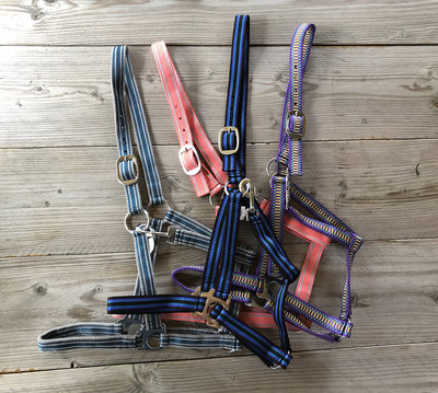 Partij basic halsters kleurenmix maat Pony, Cob en Full (10 stuks)