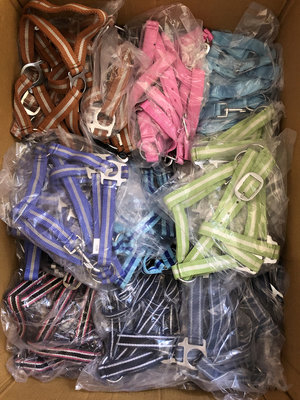 Partij basic halsters kleurenmix maat Pony, Cob en Full (10 stuks)