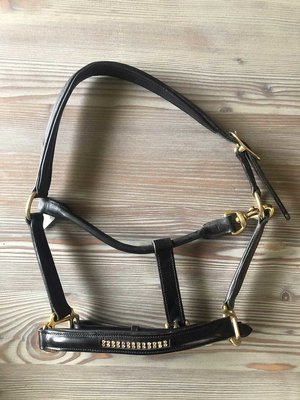 Partij luxe leren halsters maat pony - 5 stuks
