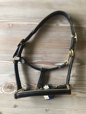 Partij luxe leren halsters maat pony - 5 stuks