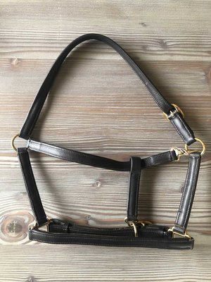 Partij luxe leren halsters maat pony - 5 stuks