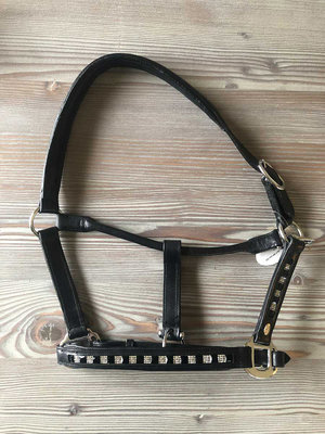 Partij luxe leren halsters maat pony - 5 stuks