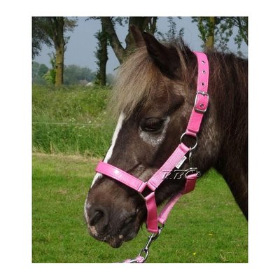 HB Halster Lak Shine Shetland
