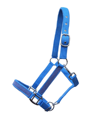 Halster 'Twinkle' blauw