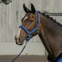 Horka Halsterset Equestrian Pro Embossed Blauw